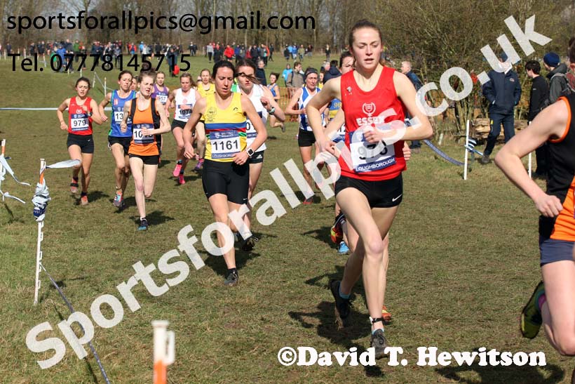 Senior womens 2019 British Athletics Inter Counties Cross Country, Prestwood Hall, Loughborough. Photo:  David T. Hewitson/Sports for All Pics